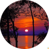 Sunset over water framed by tree silhouettes